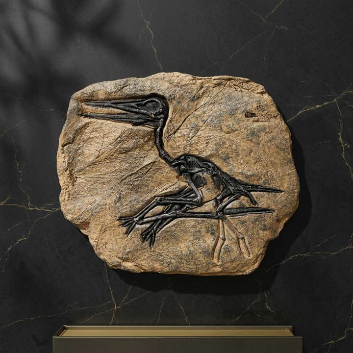 Fossil Style Bird Skeleton Wall Decor